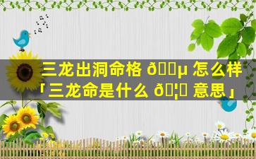 三龙出洞命格 🌵 怎么样「三龙命是什么 🦋 意思」